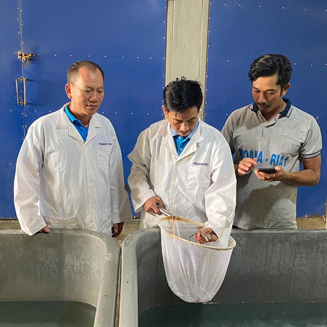 Hỗ trợ kỹ thuật nuôi