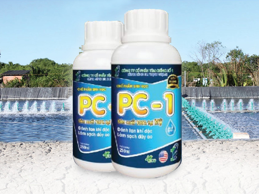 PC-1 -Enzyme xử lý nước (USA)  250ml/chai