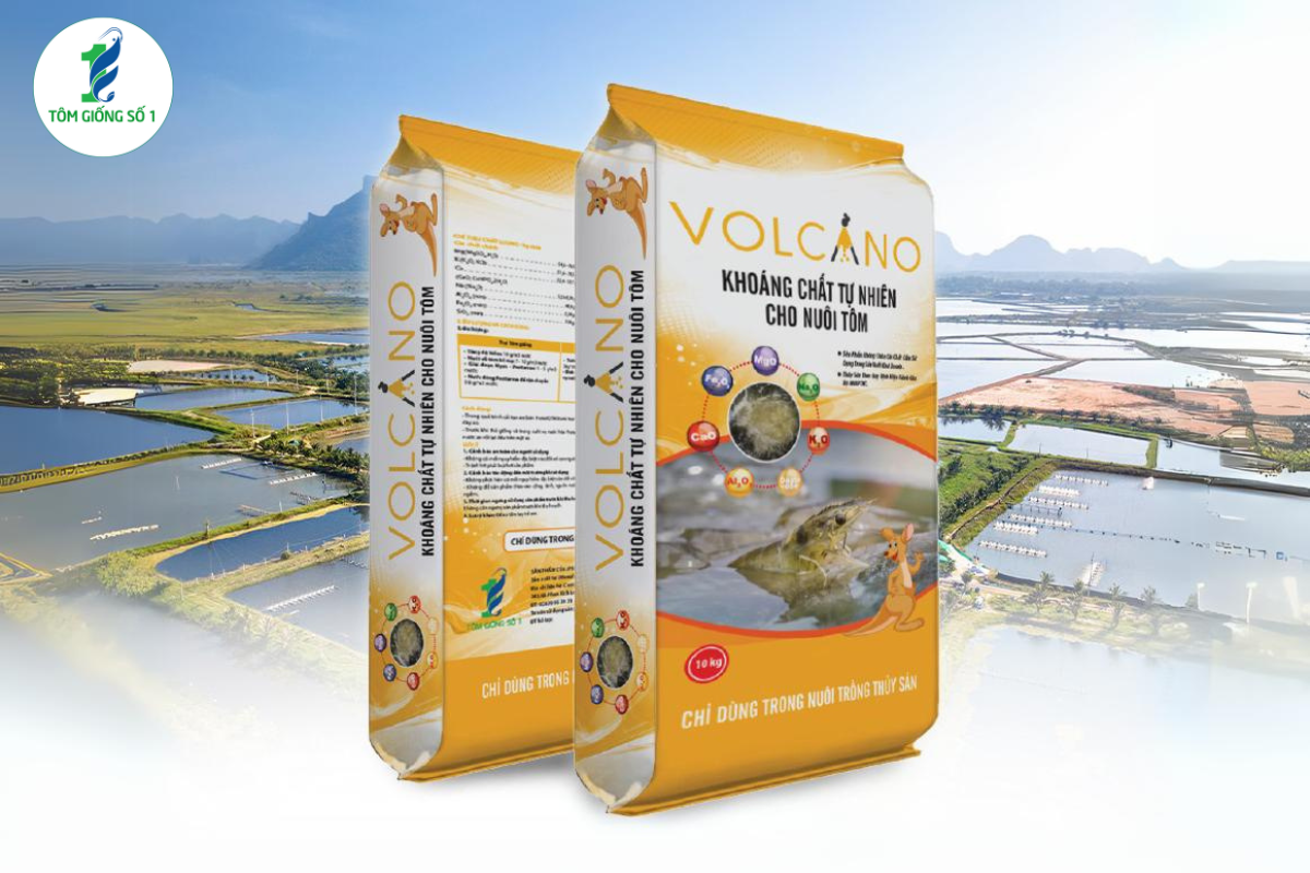Chế Phẩm Sinh Học - Giúp Nuôi Tôm Hiệu Qủa 