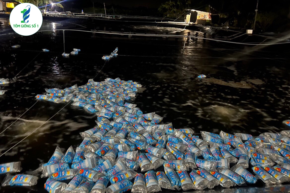 Tôm thẻ giống 3K+Super - Chất lượng cao tại Tôm Giống Số 1