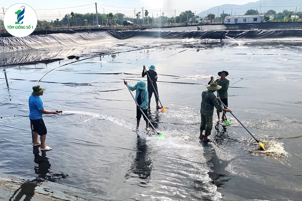 Kết quả ban đầu về mô hình mới trong nuôi tôm