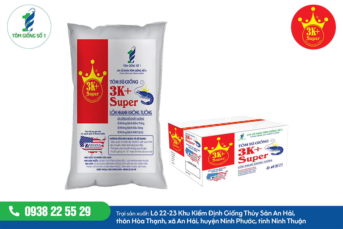 TÔM SÚ GIỐNG 3K + SUPER